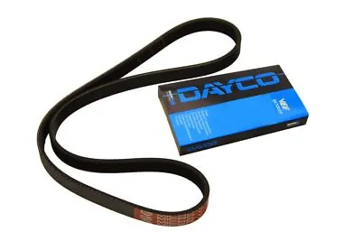 £19.82 • Buy DAYCO DAY5PK788 V-Ribbed Belt OE REPLACEMENT