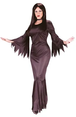 Morticia Addams Family Womens Halloween Costume • $15.95