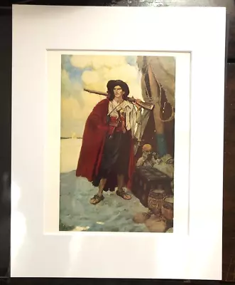 Howard Pyle  The Pirate Was A Picturesque Fellow  11 X 14 Matted Art Print-1905 • $22.49