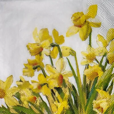 £1.35 • Buy 5 X Paper Cocktail Napkins - Decoupage/Craft - Golden Daffodils NEW 2022 BC96
