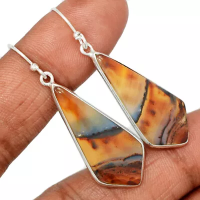 Natural Montana Agate From The Yellowstone River 925 Silver Earrings CE29870 • $20.23