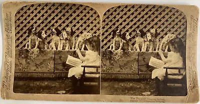 Girl Singing Her Puppies Circa 1870 Stereo Vintage Print Stereo Leg • $84.51