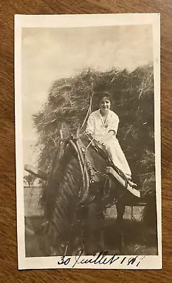 1919 Rural Farm Field Woman Driving Horse Pulled Hay Wagon Working Photo P10w22 • $17.50