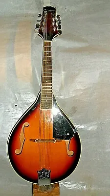 Martin Smith Mandolin • $197.30