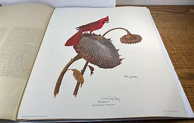 Ray Harm - Cardinal Signed Print 1969 Vintage Bird Art Plate #XXVIII W/Folder • $29.95