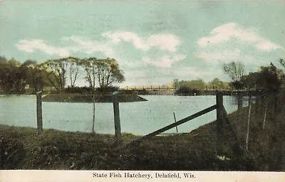 State Fish Hatchery Delafield Wisconsin WI - 1910 Vintage Postcard • $5.99
