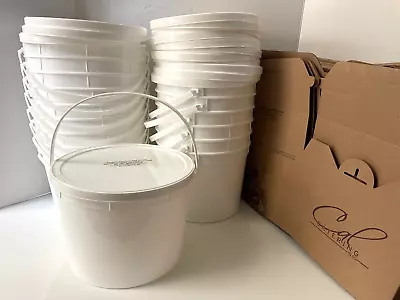 1 Gallon Bucket Storage Food Containers With Lids & Handles ( Pack Of 15) USA • $59