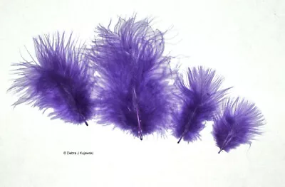 Marabou Feathers 7 Grams Small 1-3  Fluffs DARK LILAC PURPLE Approx 105 Per Bag • $2.65