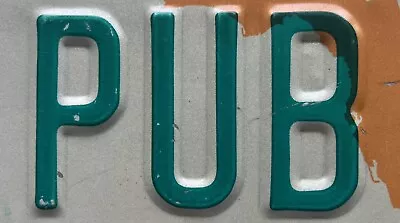 “PUB” FLORUDA LICENSE PLATE SALE HELPS TUNNELTOTOWERS ORG.  Very Unique Item ! • $17.99