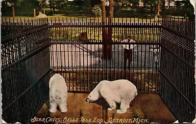 $5.95 • Buy Bear Caves Belle Isle Zoo Detroit Michigan MI Polar Bears C1913 Postcard