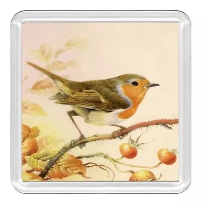 £2.99 • Buy Bird Robin Redbreast Lovely Acrylic Coaster Novelty Drink Cup Mat Great Gift