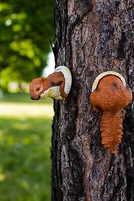 Red Squirrel Tree Peeker Hanging Resin Statue Garden Decoration Outdoor Ornament • £7.99