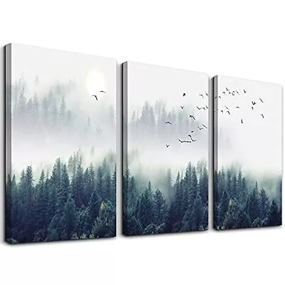 3 Piece Canvas Wall Art For Living Room Wall Decorations For Bedroom Office W... • $38.64