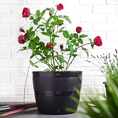 Barrel Planter Tub Plastic Garden Flower Plant Black Planter Tree Pot 34-50cm • £6.20