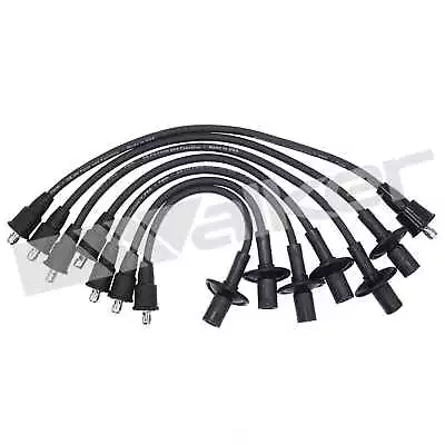 Spark Plug Wire Set-GAS Walker Products 924-1342 • $31.64