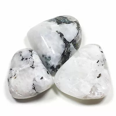 White Rainbow Moonstone Tumbled Polished Crystal Stone 3 Pc Set Avg Size 1.05  • $13.99