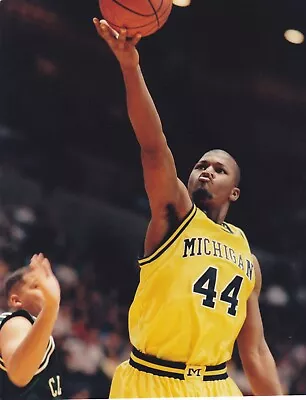 Albert White 8x10 Michigan Wolverines  Color Photo #1 • $1.99