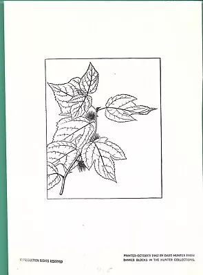 AUTHENTIC PRINT     PAPER MULBERRY BRANCH     By   JJ LANKES (1884-1960) • $12.95