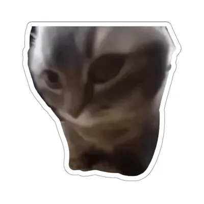 Chipi Chipi Chapa Chapa Cat Sticker | Cat Meme | Tik Tok Meme Sticker • $2.39