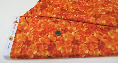 Michael Miller Quilt-craft Fabric SHADOW LEAVES Saffron 2 Yds (ddc-11528)Fairies • $10.77