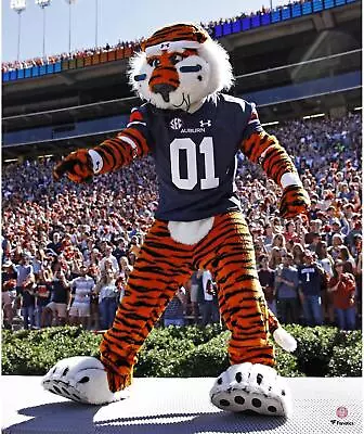 Auburn Tigers Unsigned Aubie The Tiger Hyping Up Crowd Photo • $39.99