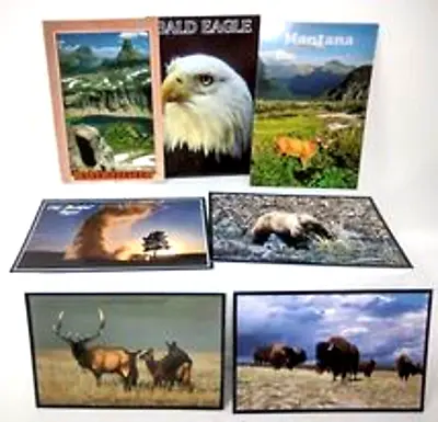 Postcards Of Montana And Wildlife Of Montana Lot Of 7 Postcards Unposted • $12.25