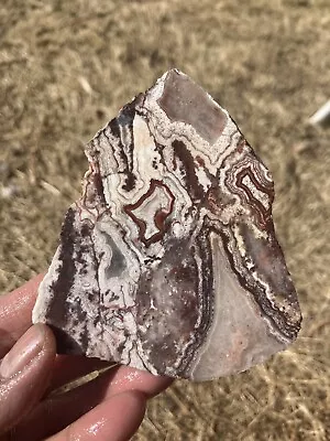 Crazy Lace Agate Slab (Mexico) • $15