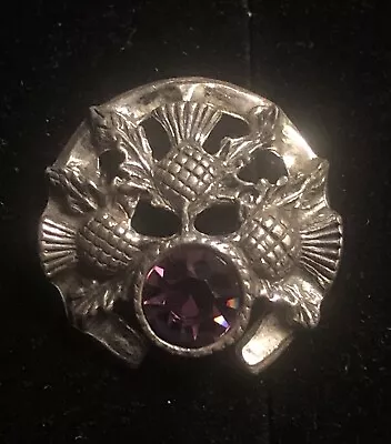 Vintage Rare Silver Tone Horseshoe W/ Scottish Thistle And Purple Stone Brooch • $30