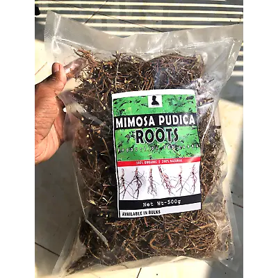 Mimosa Pudica Roots Dried Sensitive Plant Root Lajwanti Premium Natural Quality • $170