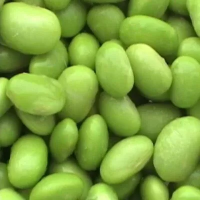 EDAMAME Tohya Green 15 Seeds • $4.20
