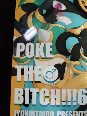 POKEMON Doujinshi (B5 28pages Full Color) POKE THE BIT #6 Toiro Iro Male Ver. • $59.99