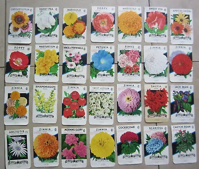 Lot Of 28 Old Vintage 1950's - FLOWER SEED PACKETS - Lone Star - EMPTY • $14.99