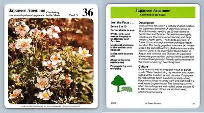 Japanese Anemone #3 Gardening In The Shade - My Green Gardens 1987 Cardmark Card • £1.25