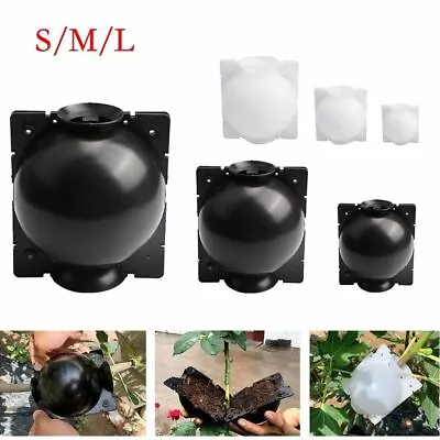 Plant High Pressure Box Graft Grafting Rooting Growing Device Propagation Ball • $6.57