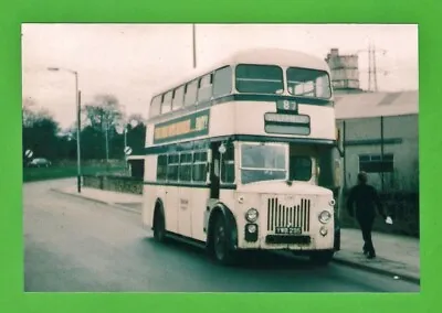 £2.75 • Buy Bus Photo ~ Sheffield Transport 1295: YWB295 - 1957 Roe Leyland PD2 - Maltby(?)
