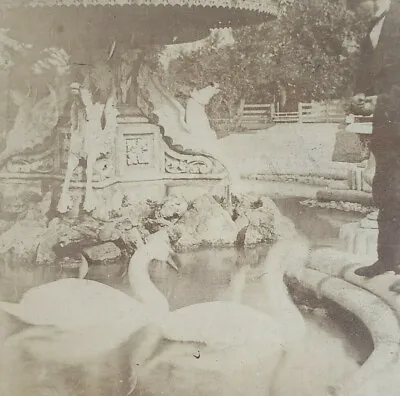 Chicago Jefferson Park Fountain Swans Ducks Man Illinois 1880s Stereoview H275 • $21.47