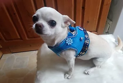 Designer Dog Harness Size Small Dog/chihuahua /blue  Sailor nautical. LAST ONE  • £9.99