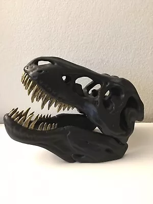 T- Rex Skull Display Model Black And Gold Fossil • £82.29