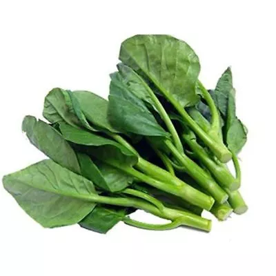 CHINESE KALE 100 Seeds Asian Chinese Broccoli Vegetable Kai-lan Kailaan Greens • $2