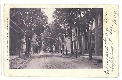 Chestnut Street West View MIFFLINBURG PA Union County Pennsylvania Postcard • $5.99