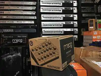 Moog Minitaur Analog Bass Synthesizer Synth Module New //armens// • $769.99