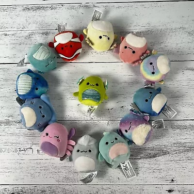 Squishmallows Lot Of 13 Squishville Sealife And Aquatic Animals 2 Inch Plush • $10.50