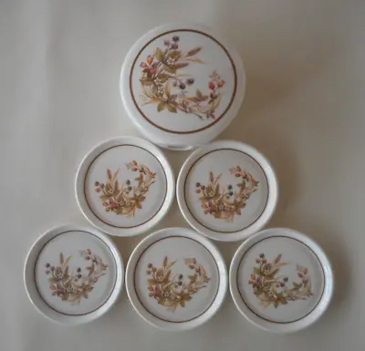 M&S / MARKS & SPENCER HARVEST PATTERN SET Of 5 ROUND MELAMINE COASTERS IN HOLDER • £7.99