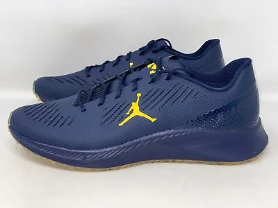 Air Jordan Vapor Edge Turf 'Michigan Wolverines' Cleats Size 15 BNIB CV1670-400 • $259.99