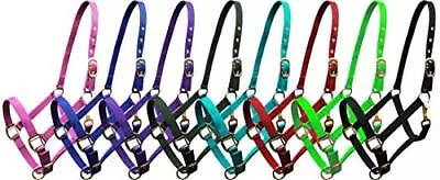 Adjustable Cob Size Triple Ply Nylon Halter • $18.95