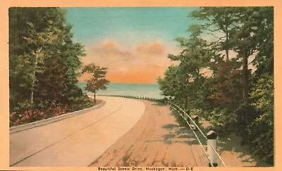 Vintage Postcard Beautiful Scenic Drive Muskegon Michigan MI Francis Jiroch Pub. • $7.98