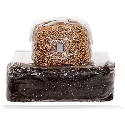All-in One Mushroom Grow Kit | Includes: Monotub 5lb Substrate  3lb Grain Bag • $39.99