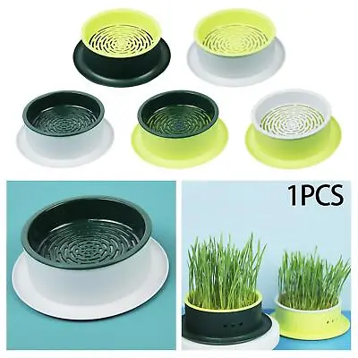 Sprouter Tray Cat Grass Box Cat Plant Planting Box Catnip Cultivation Box • $10.68