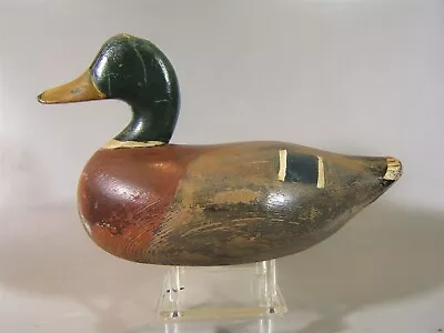 Mallard Duck Decoy Rock Hall Md. John Glenn ??? Ca. 1940 • $165