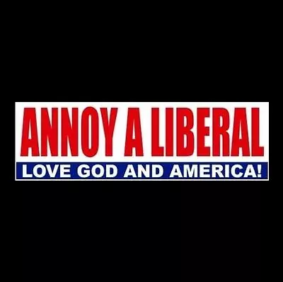 Funny  ANNOY A LIBERAL - LOVE GOD AND AMERICA  Anti Obama Hillary BUMPER STICKER • $9.99